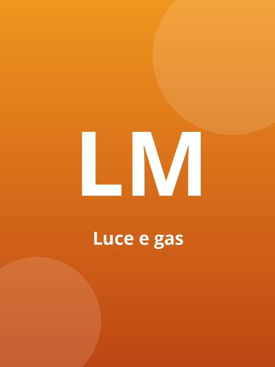 Copertina Luca Menichetti